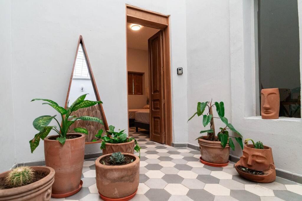 Casa Del Desierto Villa Guadalajara Esterno foto