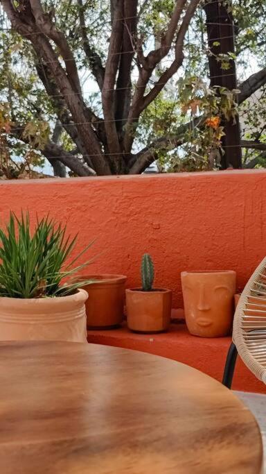 Casa Del Desierto Villa Guadalajara Esterno foto
